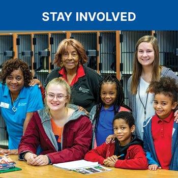 3 young children, a teenager, and 3 site coordinators smiling while looking at the camera