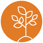 Icon of a plant growing