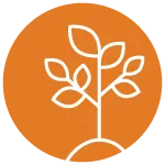 Icon of a plant growing